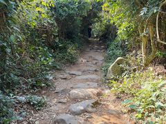 -硇洲岛旅游区