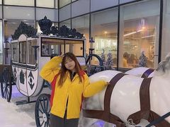 -世界之窗阿尔卑斯冰雪世界