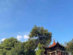 -成都市文殊院