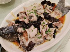 -清新鸡沙田乳鸽店(金融店)