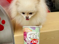 -DQ·蛋糕·冰淇淋(五角场万达店)