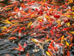 景观位-番禺宾馆丽苑厅