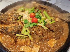 -老板恋上鱼(高新万达店)