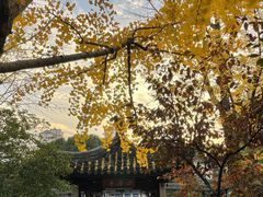 -南园(太仓市)