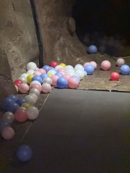 -探洞工场(丰科万达旗舰店)