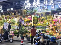 -溪岸路花鸟市场