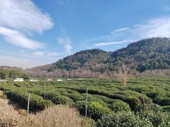 -中国茶叶博物馆(双峰馆区)