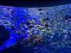 -海合安武汉极地海洋公园