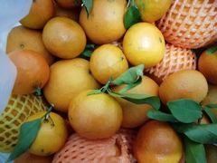 -鑫朱雀农贸批发市场