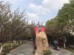 -高东镇樱花园