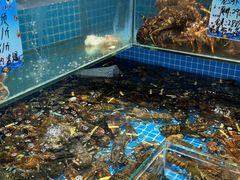 -良师门滨海人家·海鲜·家常菜(滨海城店)