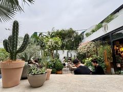 -自由生长植物工作室(深港花卉中心店)