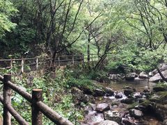 -牛背梁国家森林公园