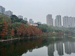 -重庆彩云湖湿地公园