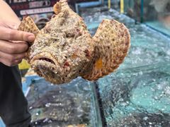 -有腥气私房菜·寻味顺德