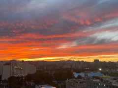 -东方红酒楼(知春路店)