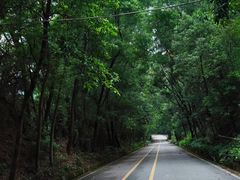 -东莞市大岭山森林公园