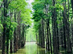 -尚湖风景区