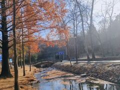 -白水寺森林公园