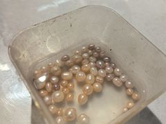 -十八字金银饰·拼豆·开蚌手工体验团建(君太百货店)