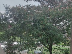 -客家大院·非遗赣南客家菜(郁孤台店)