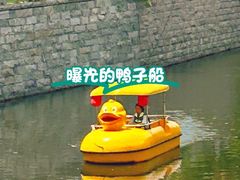 -东夷海鲜巨无霸(东夷小镇店)