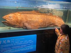 -国家自然博物馆