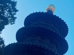 -天津大悲禅院
