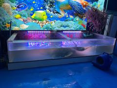 -大明湖海底世界