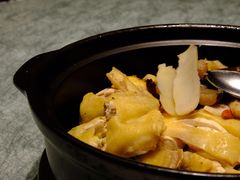 清炖鸡-花城苑广府菜(侨鑫店)