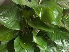 -云川台球(马甸店)