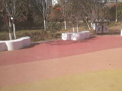 -莲湖公园