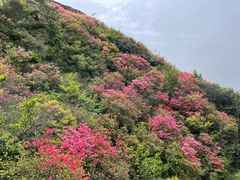 -木兰云雾山
