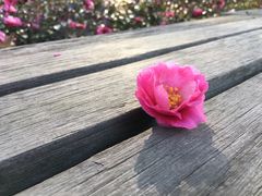 -尚贤河湿地