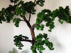 -苏小柳手作点心(控江旭辉分院)