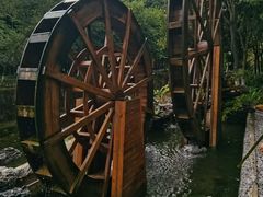 -广州白江湖森林公园