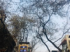 -清真·宏顺祥卤汁凉粉(大皮院店)