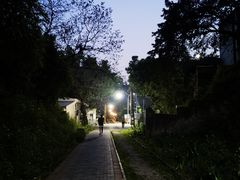 -西南政法大学(沙坪坝校区)