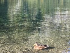 -柯尼希湖