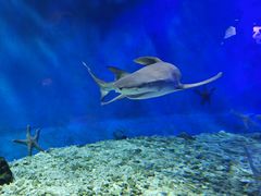 -太平洋海底世界