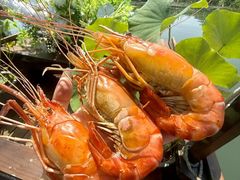 -徐岛主·特色农家乐(阳澄湖莲花岛店)