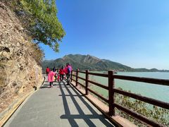 -羚羊峡古栈道森林公园