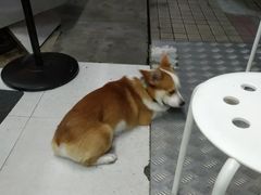 -小梁哥云吞面(黄贝岭店)