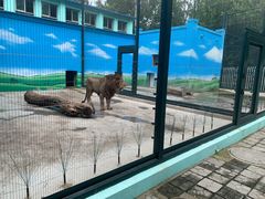 -保定市动物园