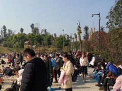 -枫香湖儿童公园