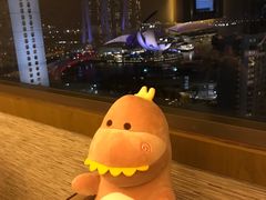 -新加坡泛太平洋酒店