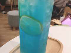 -滚猫咖啡·猫咖·猫友好撸猫(未来城店)