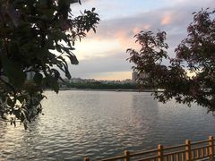 -长白岛森林公园