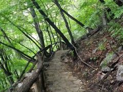 -九鼎铁刹山风景区