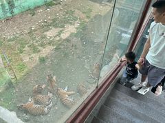 -栾川竹海野生动物园